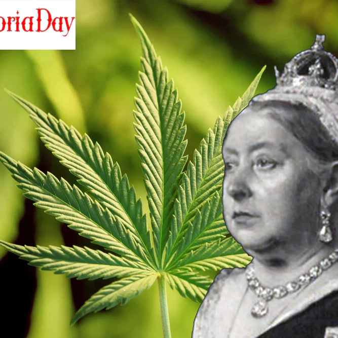 Queen Victoria and cannabis