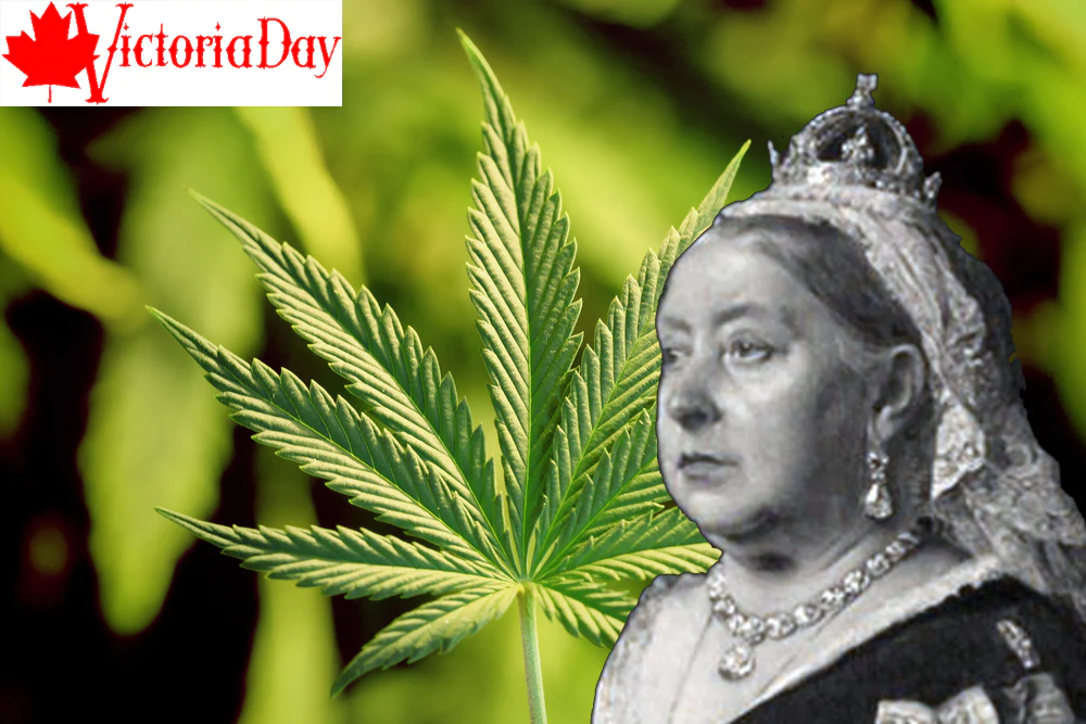 Queen Victoria and cannabis